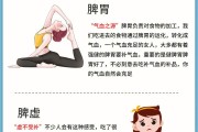 秋季如何养生(秋季如何养生视频)